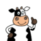 Soulkoeien